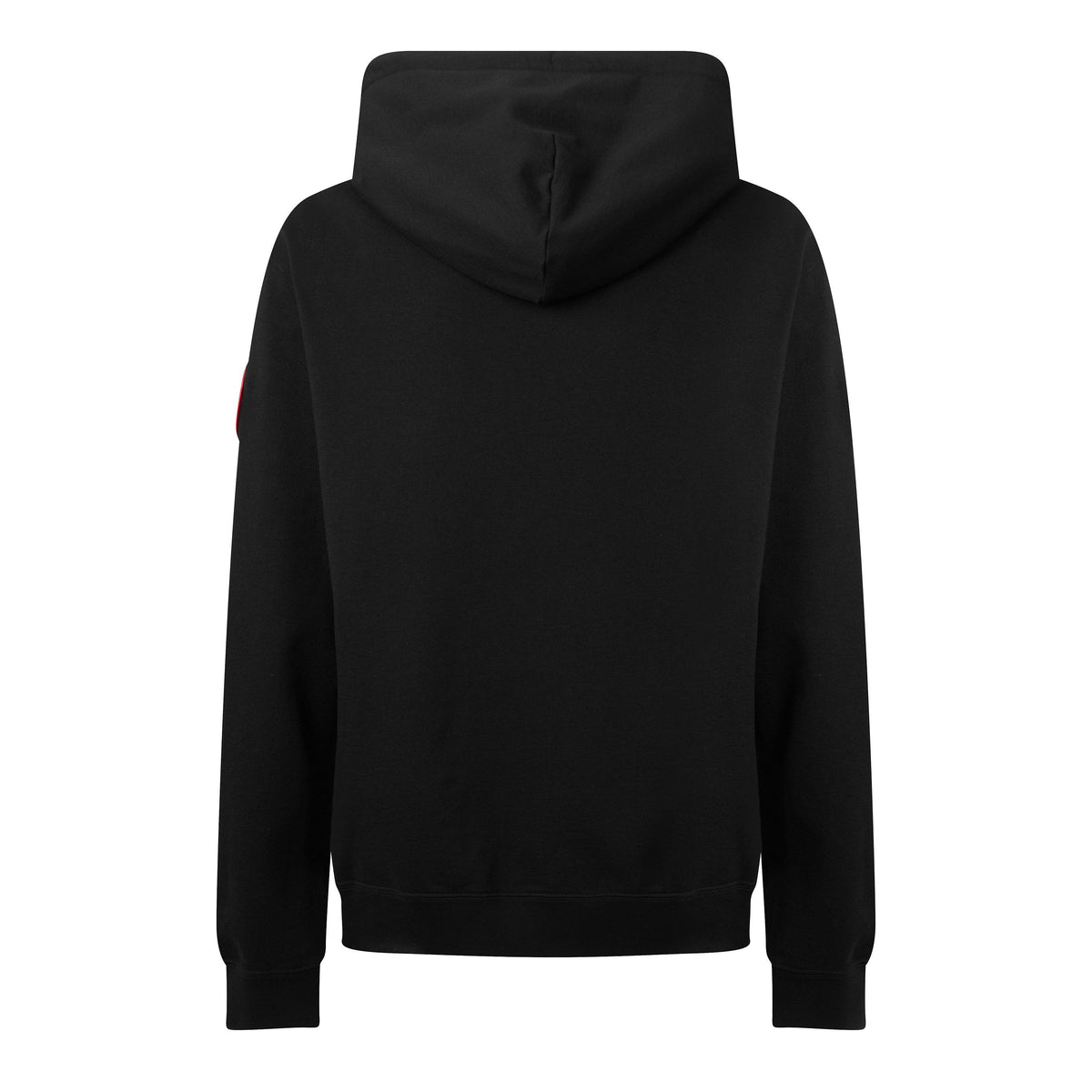 Black 9061 - Canada Goose - Canada Loon OTH Hd Sn00 - 2